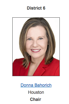 Donna Bahorich